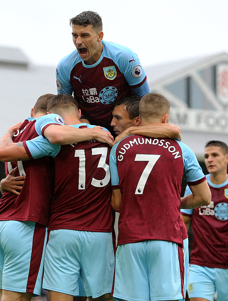 开云体育官方网站-包含埃弗顿主场战胜维拉，保级形势得到提升的词条