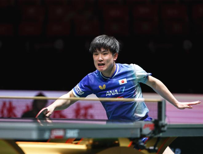 关于葡萄牙队横扫德国队，张本智和扛起全队的信息