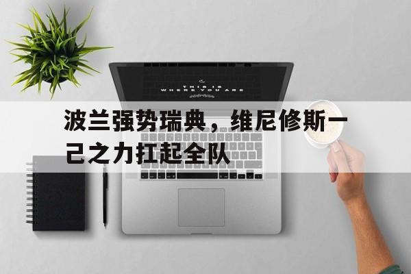 关于波兰强势瑞典,维尼修斯一己之力扛起全队的信息 关于波兰强势瑞典,维尼修斯一己之力扛起全队的信息
