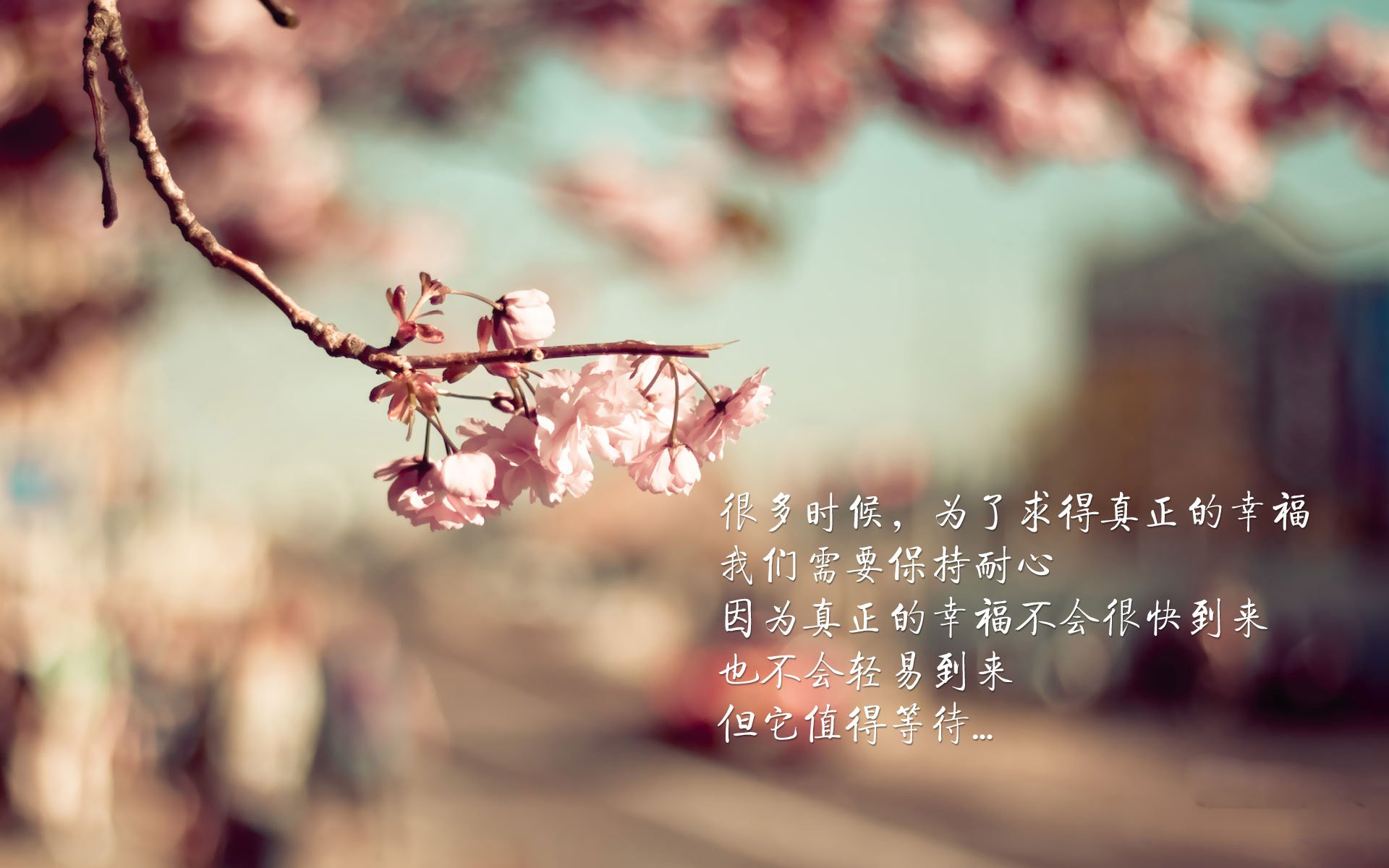 篮网逆流而上，西决生死战力克浙江，诠释硬仗真谛